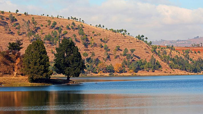 La fuerza de la vida