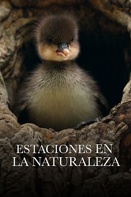 Estaciones en la naturaleza