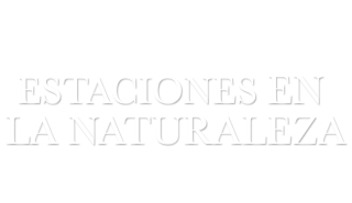 Estaciones en la naturaleza
