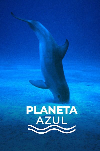 Planeta azul