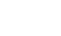 El escarabajo verde