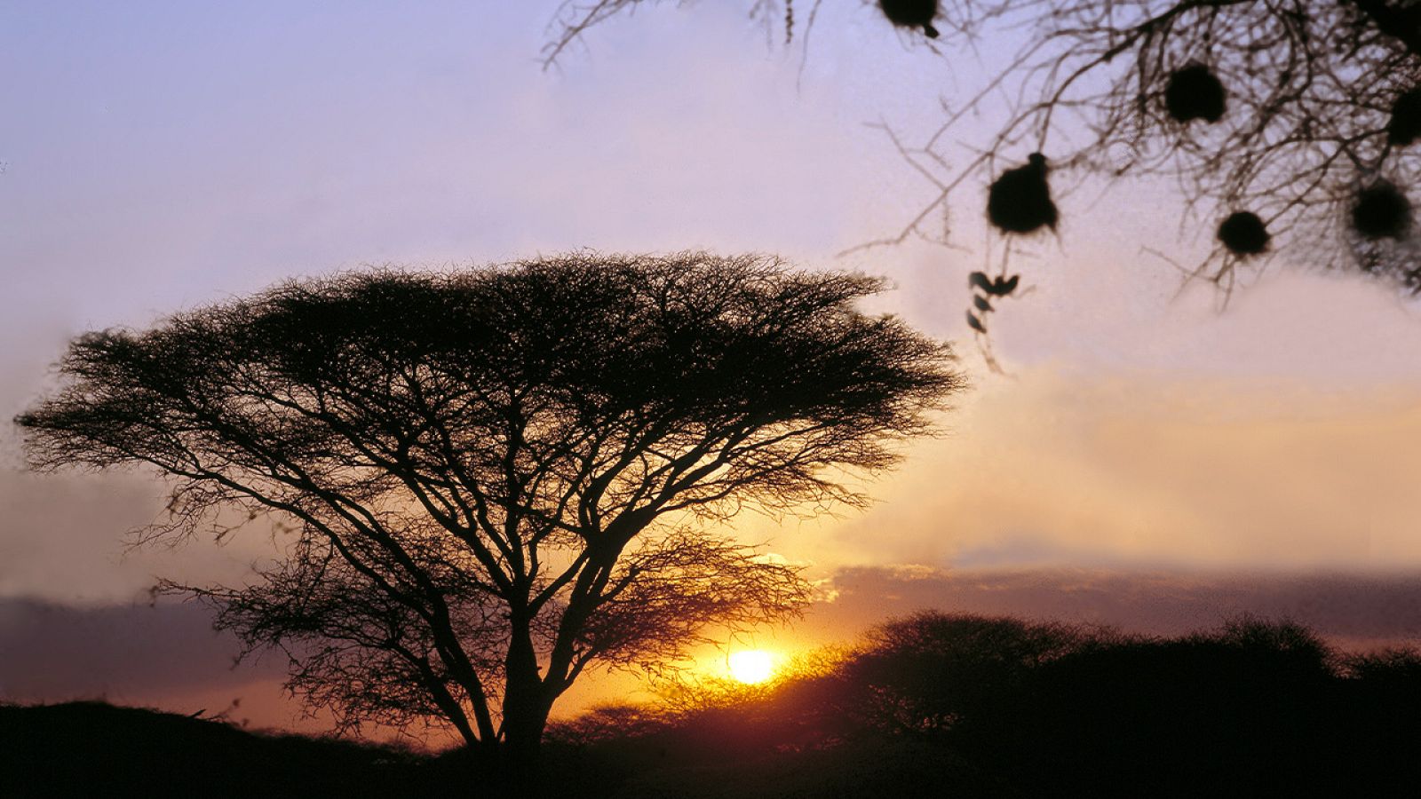 Índico - Como agua que fluye. Calcuta y Bangladesh - Índico | Ver