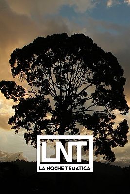 La noche temática
