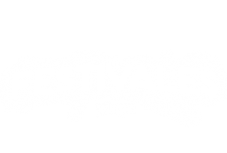 Festivales Playz