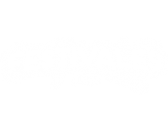 Festivales Playz