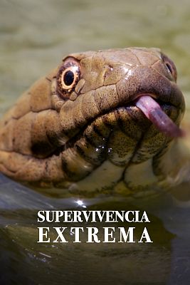 Supervivencia extrema