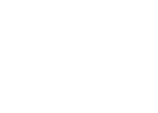 La revolución del freestyle
