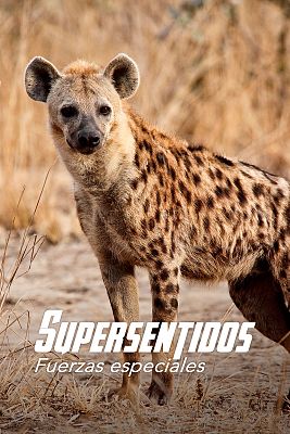 Supersentidos. Fuerzas especiales