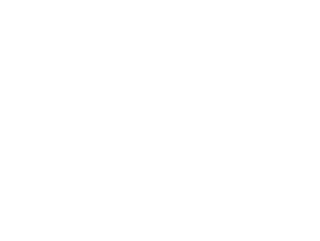 La controversia del arte