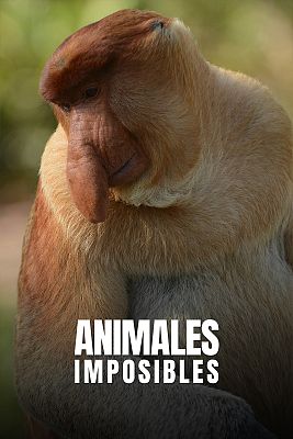 Animales imposibles