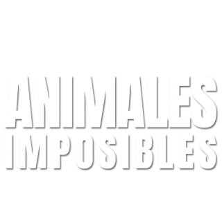 Animales imposibles