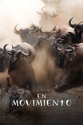 En movimiento (Documental)