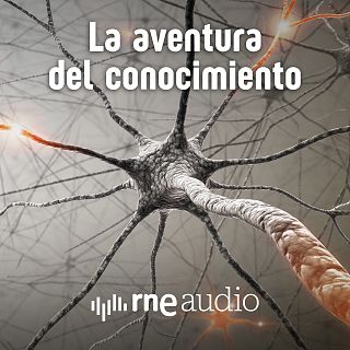 La aventura del conocimiento