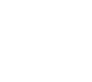 Lingo