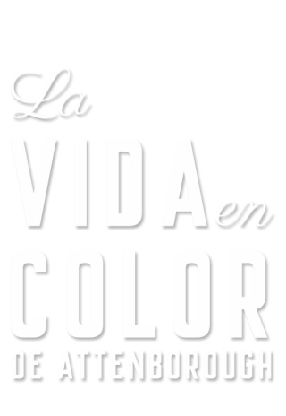 La vida en color de Attenborough