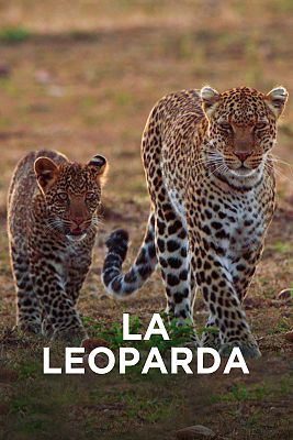 La leoparda