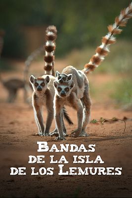 Bandas de la isla de los lemures