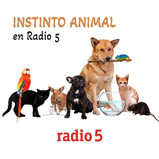 'Instinto animal en Radio 5' con Silvia Fernández