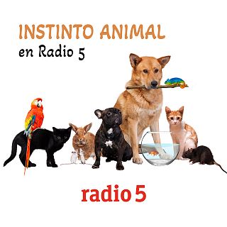 Instinto animal en Radio 5 con Silvia Fernández