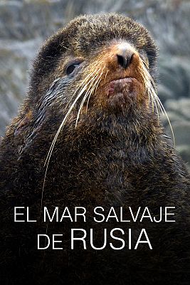 El mar salvaje de Rusia