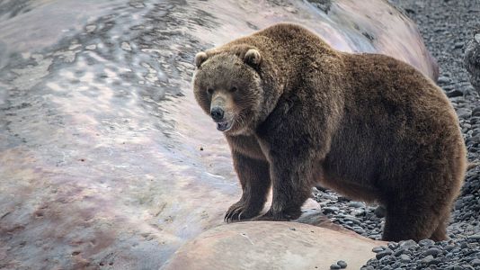 El mar salvaje de Rusia