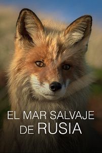 El mar salvaje de Rusia