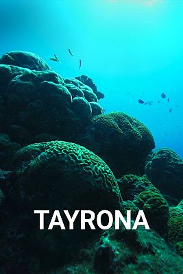 Tayrona