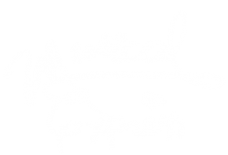 Musical Express (català)
