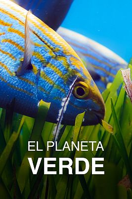 El planeta verde