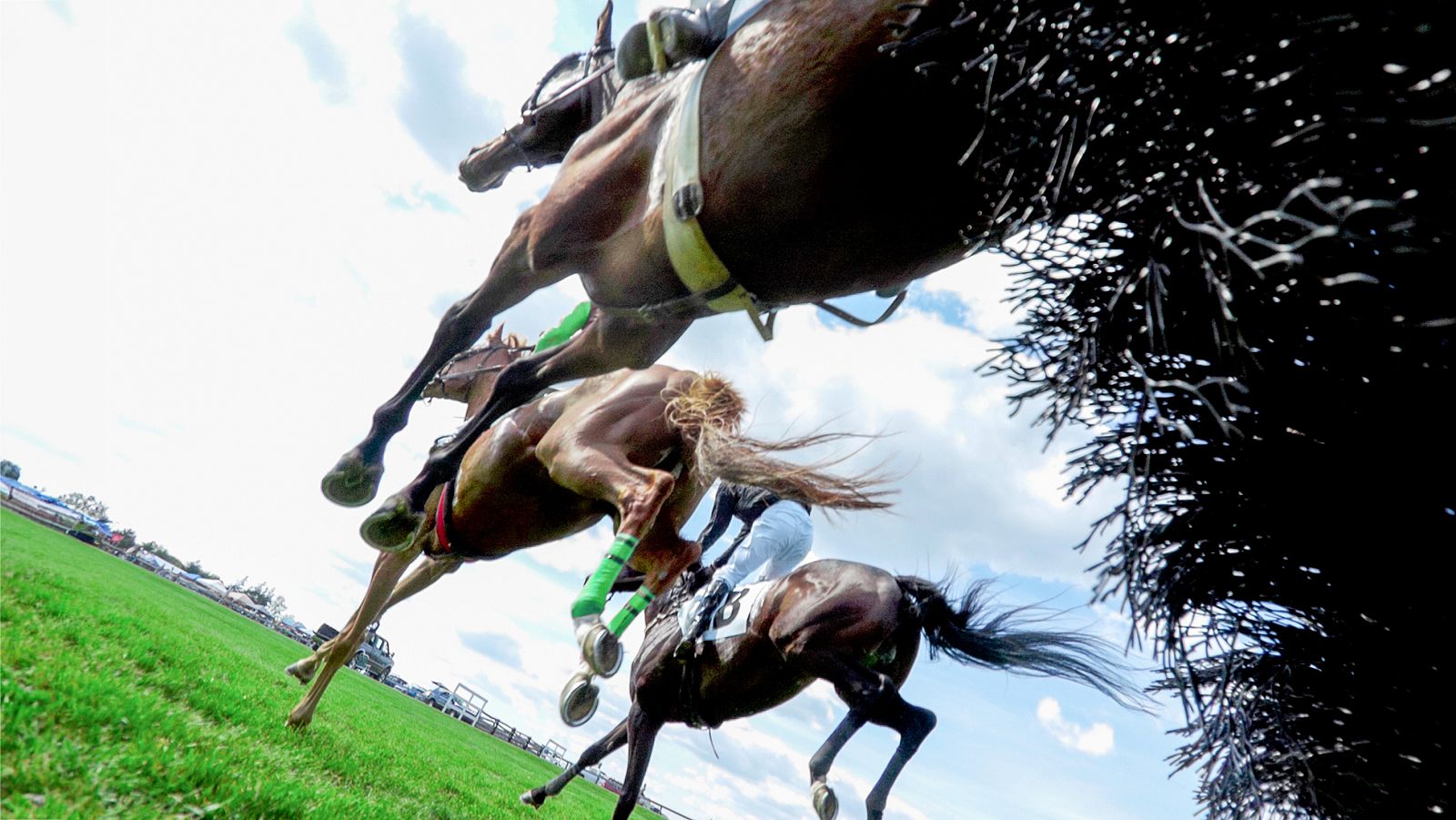 Turf - 12/04/09 - Turf | Ver