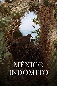 México indómito
