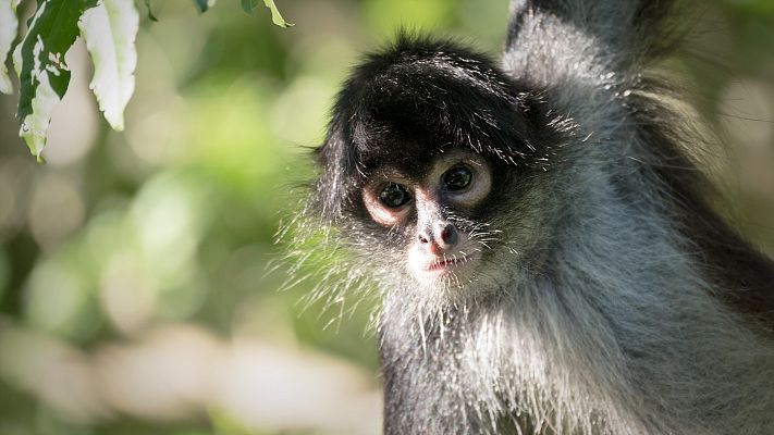 Los secretos naturales de la zona ecuatorial