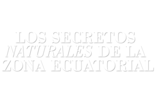 Los secretos naturales de la zona ecuatorial