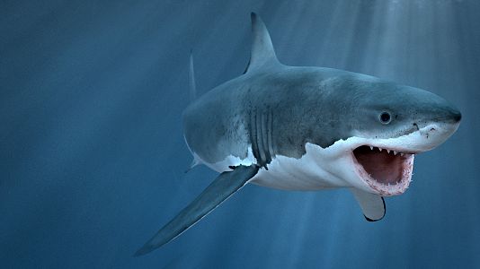 En las profundidades del océano