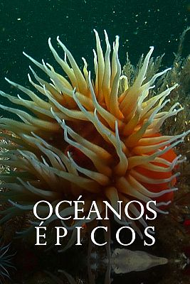 Océanos épicos