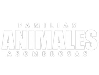 Familias animales asombrosas