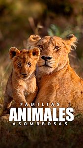 Familias animales asombrosas