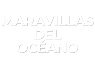 Maravillas del océano