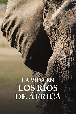 La vida en los ríos de Africa