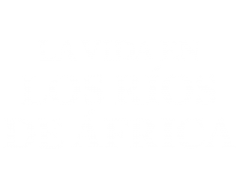 La vida en los ríos de Africa