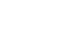 Cuatro estaciones en el reino del oso panda