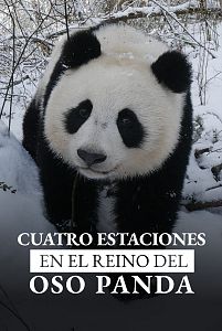 Cuatro estaciones en el reino del oso panda