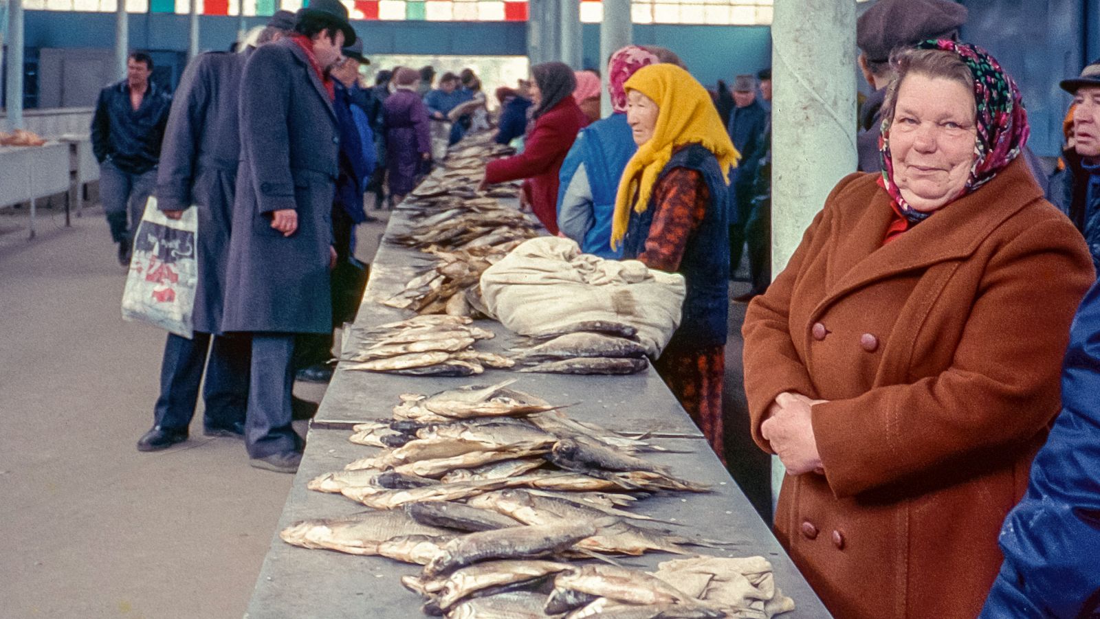 Longitud, latitud - El sueño antártico (I) - Longitud latitud | Ver