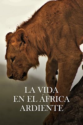 La vida en el África ardiente