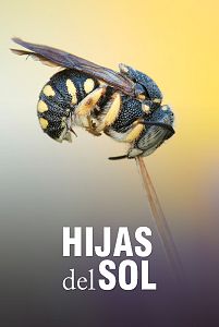 Hijas del sol