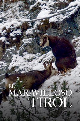 El maravilloso Tirol