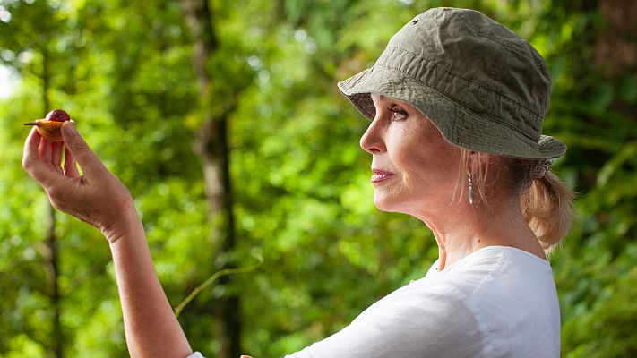 La aventura en la ruta de las especias de Joanna Lumley