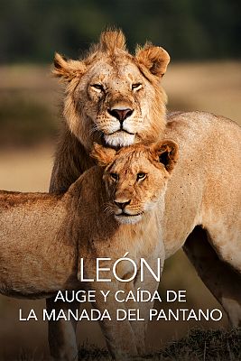 León. Auge y caída de la manada del pantano