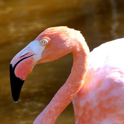 Las Galapagos, la frontera del mundo