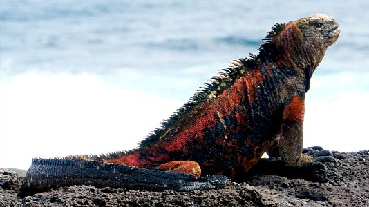 Las Galapagos, la frontera del mundo